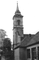 Padragkút2