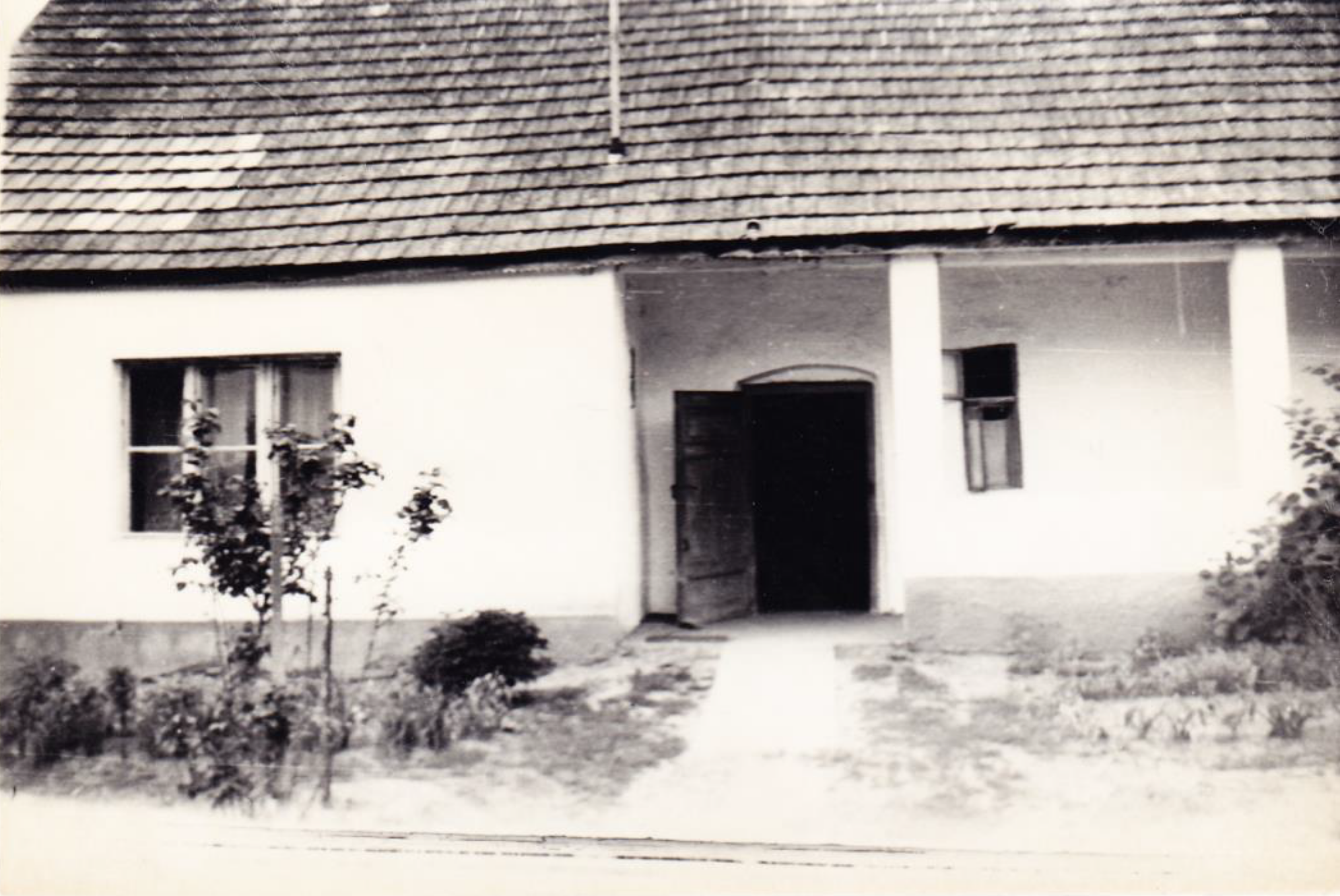 Ötvös_László_26